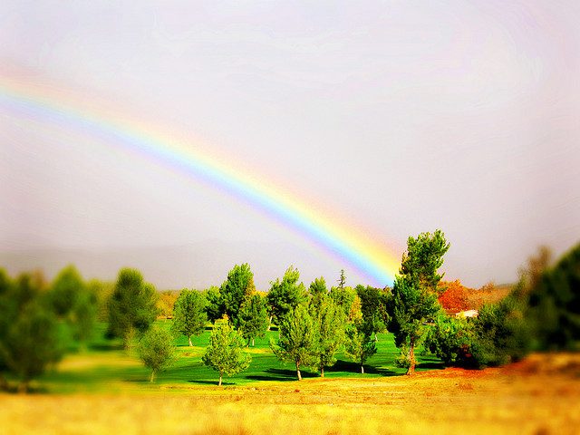 rainbow